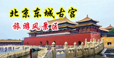 草女人逼的电影中国北京-东城古宫旅游风景区